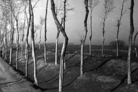 民国往事——1942年许昌灾荒实录图片