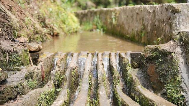 元阳，全球唯一“三遗产”地标！