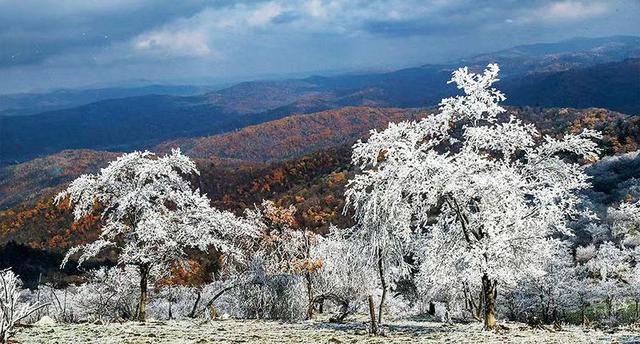 初雪的四方山：雾凇遍野 琼枝满山