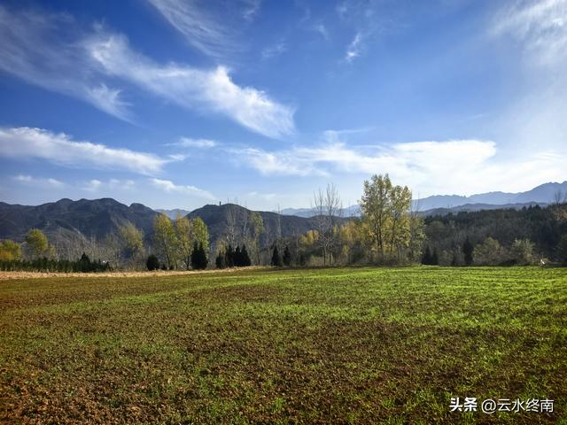 轻松开车看山景：有蓝田这条最美“山景路”，就没环山路什么事了