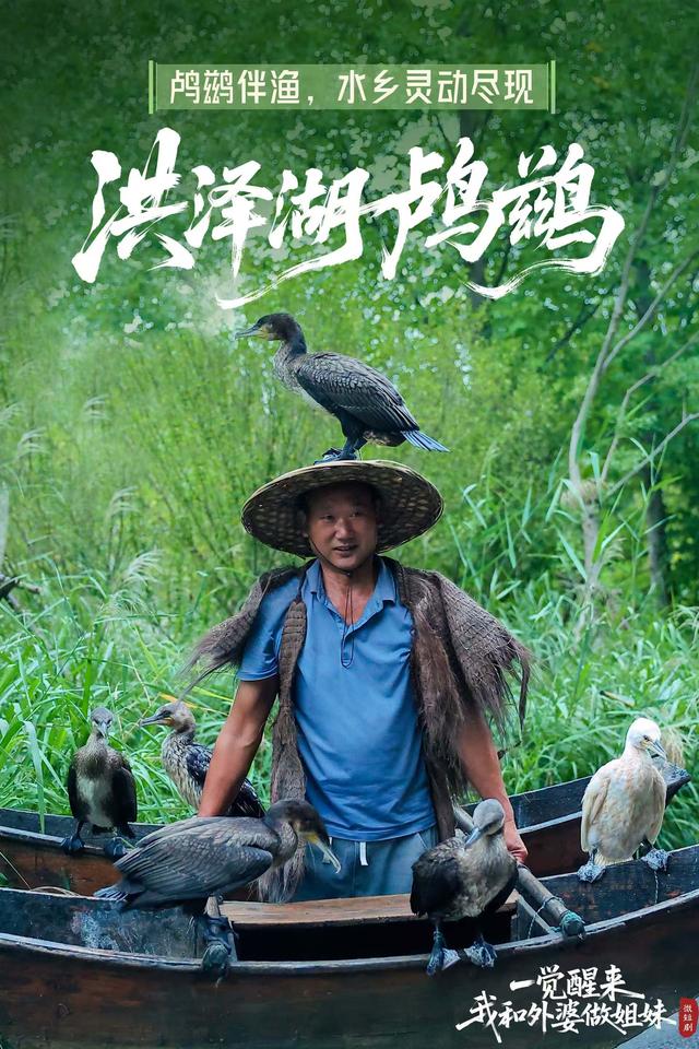 官宣上线！泗洪首部文旅微短剧《一觉醒来！我和外婆做姐妹》今日开播!