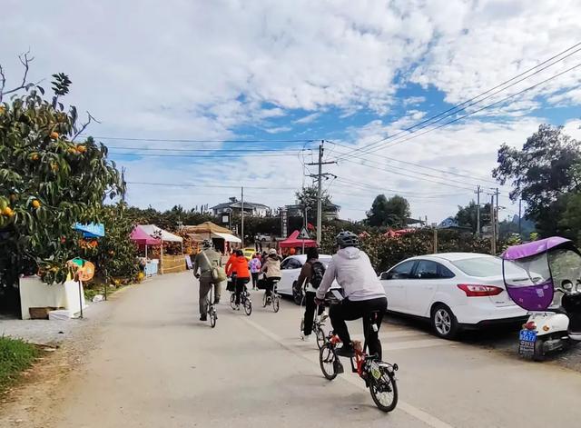 桂林：不入柿园，怎知秋色几许！