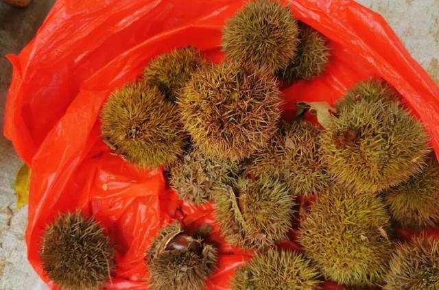 趁墟了喂！打卡从化鳌头墟，感受烟火里的人文慢时光