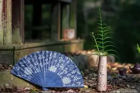 听婆婆说小姑子也要回家过节，她果断取消了车票：惹不起躲得起图片