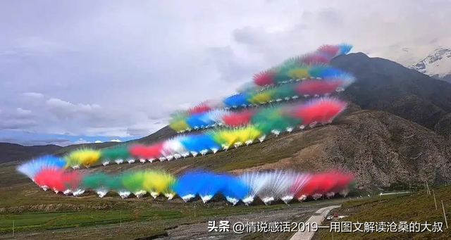 生态拷问：当商业作秀碾压藏区净土，我们如何守护最后防线？