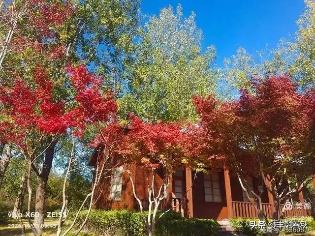 青岛即墨马山寻趣：一座地质公园的秋日私语｜申艳娟