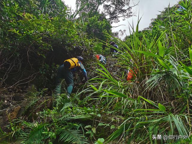 陆丰白水寨溯溪