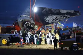 韩国客机悲剧：撞墙前六分钟接鸟情预警 179人遇难图片
