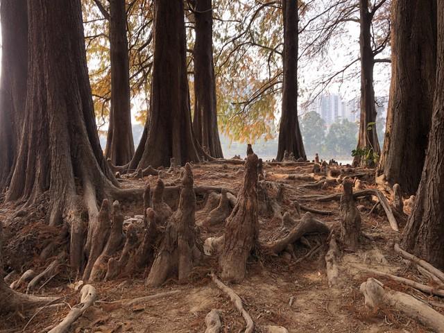 男女情爱的本质：女人慕“鲜活	”，男人惜“付出”