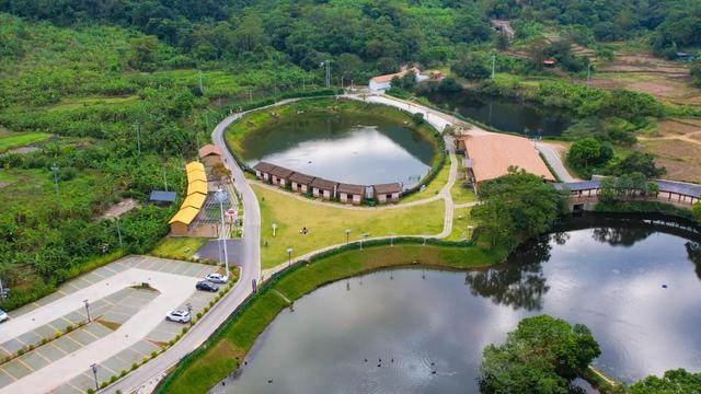 12月20日，欢乐开走！茂名徒步5条线路，你中意哪条？