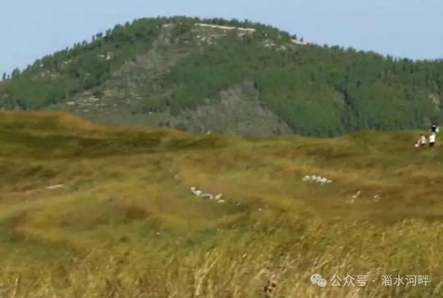 当年登临“大顶围”