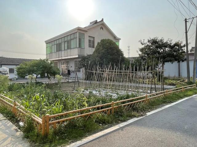 现场实拍界牌镇张家埭村，村景好美