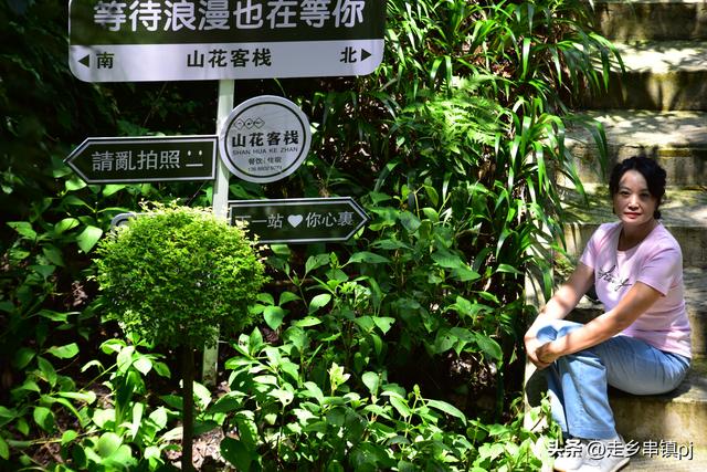 酷暑下的“青城天下幽”