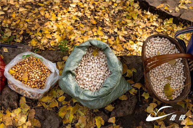 金叶映古驿!妥乐千年诗意,此刻正当赴