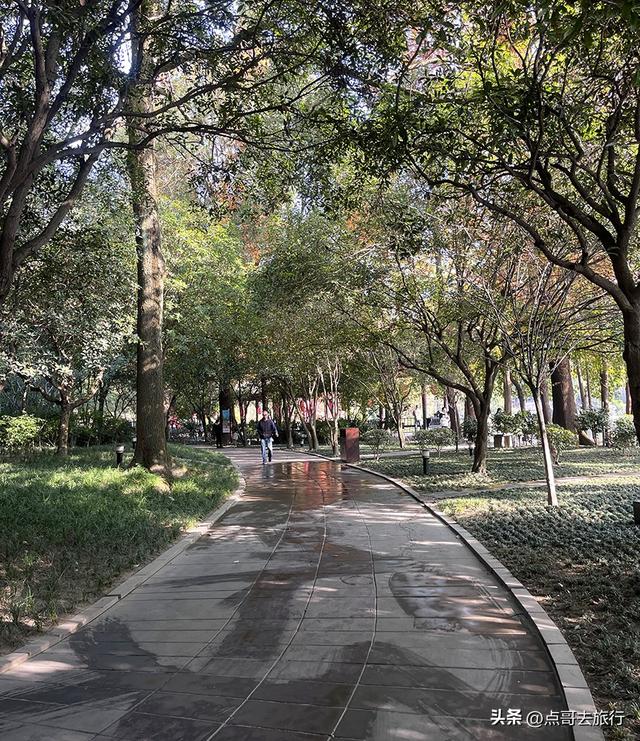 成都被私藏的彩林公园，流金溢彩，充满老城烟火气，地铁公交直达