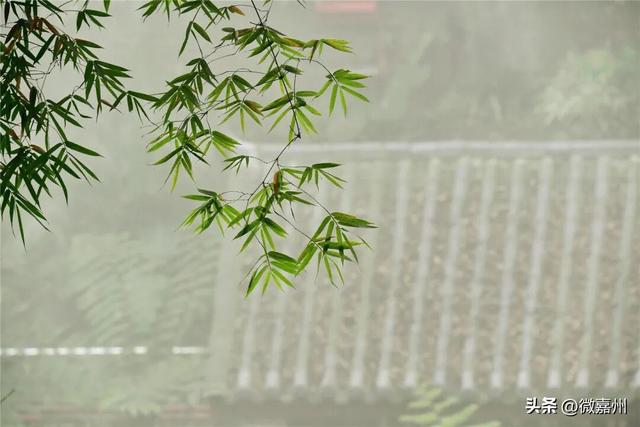 给生活充充电，与大佛共赏一山秋色