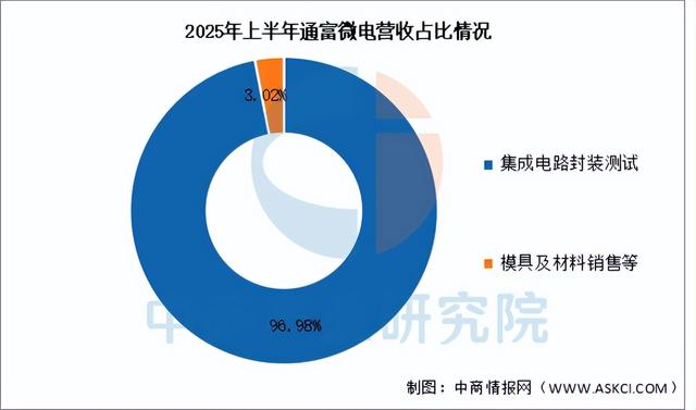 2025年中国先进封装行业市场前景预测研究报告（简版）