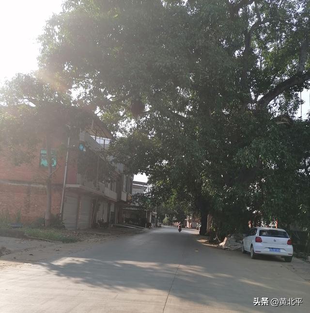 广西崇左市从县降为镇的雷平，历史起点很高为何要撤县设镇？