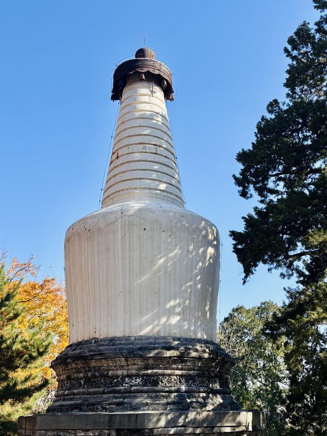 博物FUN | 大觉寺：千年古刹的禅意与新生