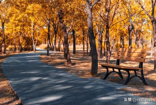 “狗都不理”的天津，看到这些知道我又错了！