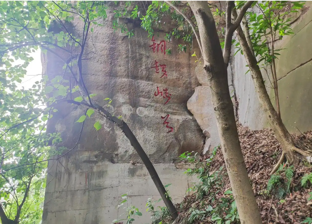重庆令人困惑的景区，规模不大名字挺多，到底谁才是正宗