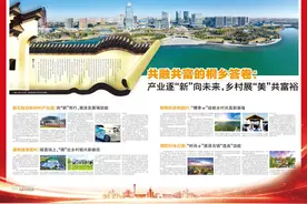 城乡融合看嘉兴｜共融共富的桐乡答卷：产业逐“新”向未来，乡村展“美”共富裕图片