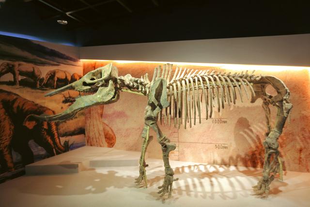 兰州黄河楼，被誉为“万里黄河第一楼”，在楼中还藏着众多博物馆