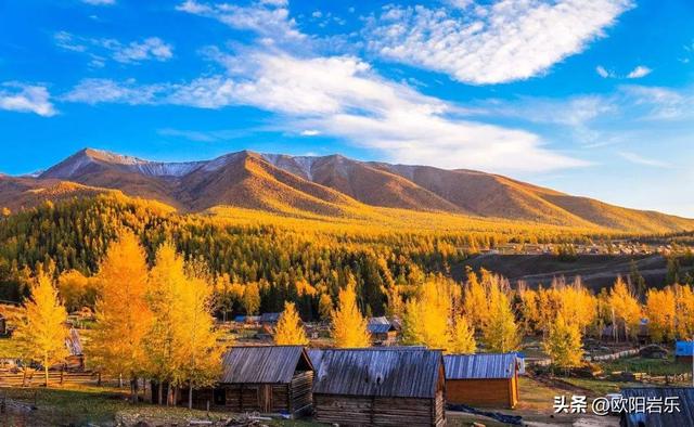 秋季的新疆，一草一木皆风景！