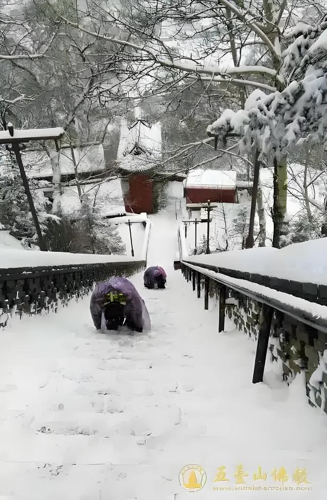 美丽的金五台，雪后寒风刺骨，风景更美了！
