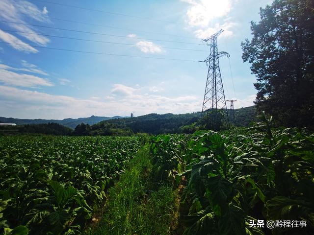 老人岩与磨刀岩：走过万仞崖壁之间不足一尺宽的险峻小道