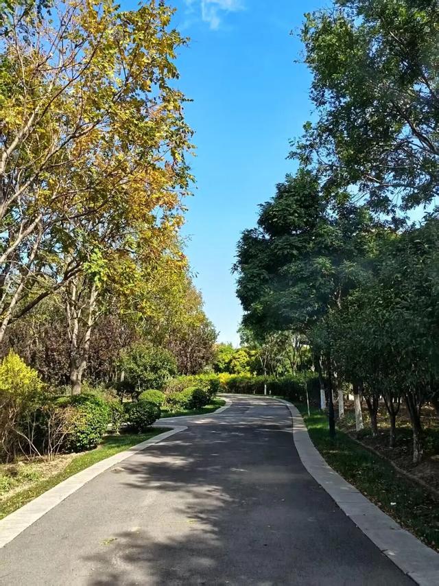 美美Sunday ~赏临港湿地秋景！