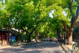 一定要这样逛完鼓楼西街和什刹海才离开北京，这才是老北京的韵味图片