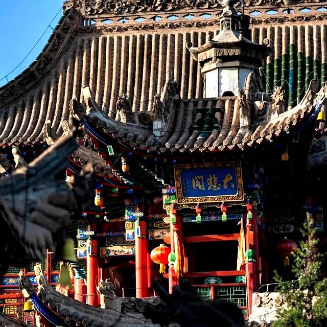 和老伴去宁夏中卫住了一个月，我实话实说：跟想象中完全不一样～