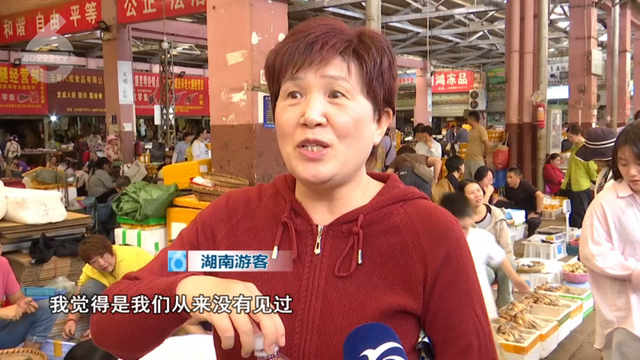 这个季节来云南，抓根树枝我们去“打野”