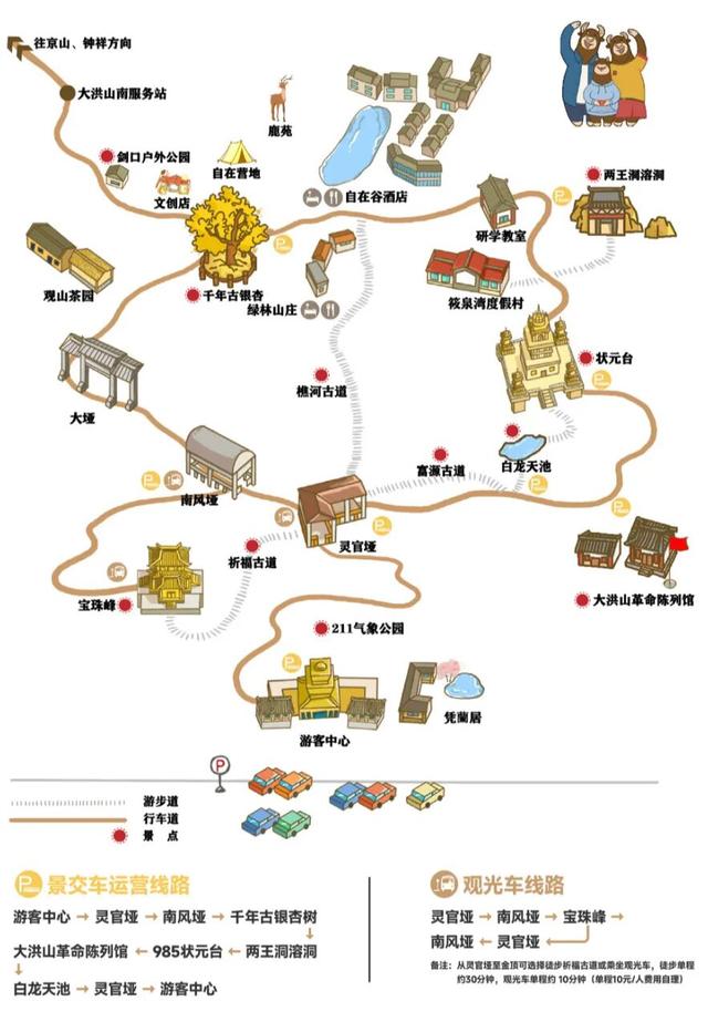 跟着赛事游随县丨大洪山顶级赏秋地更新！银杏最佳观赏期已到！