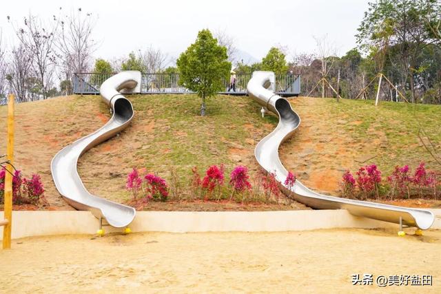 二刷、三刷……遛娃党解锁恩上湿地新玩法！