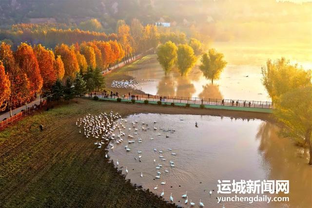 “淡季不淡”，运城文旅持续火热