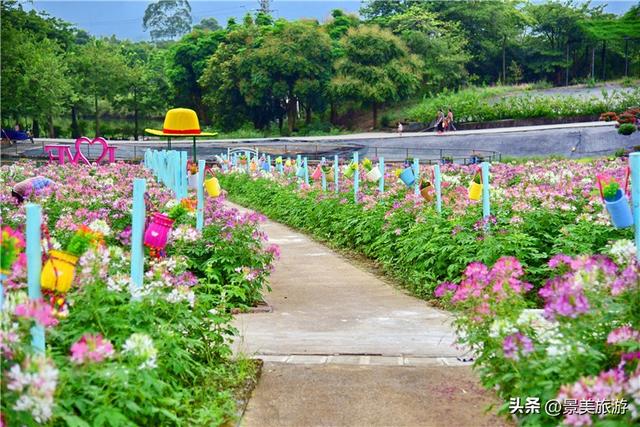 国庆相约卡玛花世界：花海中邂逅秋日浪漫，花篮小径中留下倩影