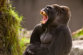 常拍这1处的人，心肺功能悄悄变强了，比揉腹更胜一筹图片