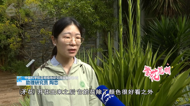 全国入秋？昆明：且慢！植物园还在上演“春日”续集