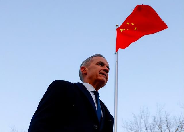 起风了！加拿大对华改口，禁止与中国签协定	，65万吨芸苔子白买？