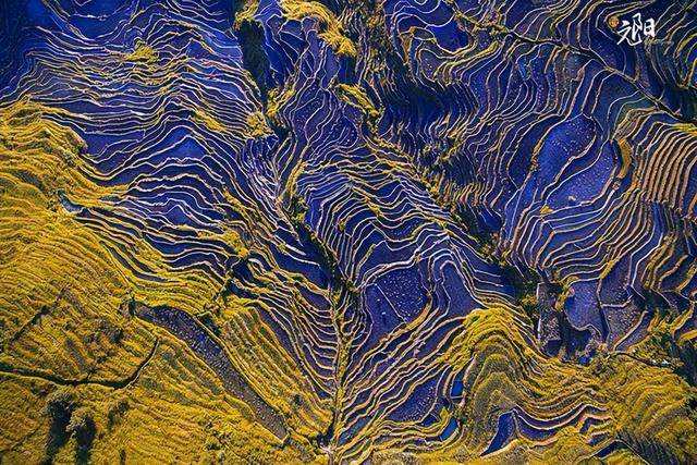 这个元旦，来元阳观赏梯田光影，参加百米长街宴吧