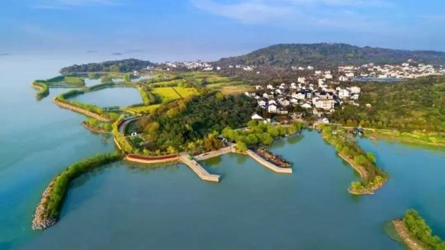 真的很美！2025苏州太湖观鸟超详细攻略来啦！