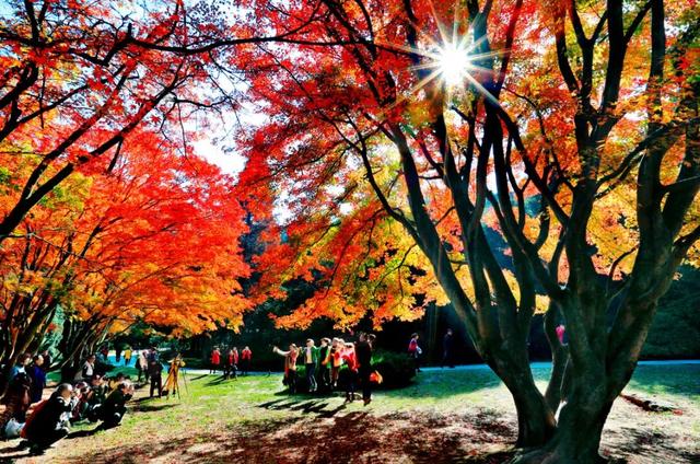 开篇暴击：九江秋季 “顶流” 集结，颜值巅峰已在路上！