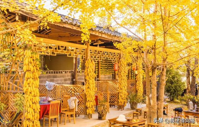 11 月不乱跑，这 10 个地方人少景绝，错过等一年的秋日盛宴