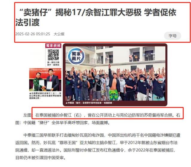 拔出萝卜带出泥！49岁赵薇近况被曝，原来圈内封杀只是冰山一角