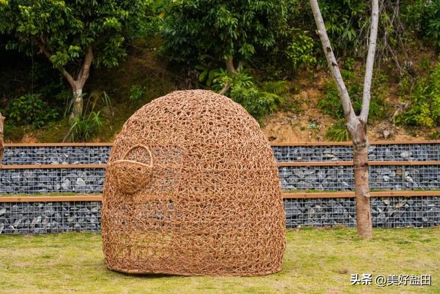 二刷、三刷……遛娃党解锁恩上湿地新玩法！