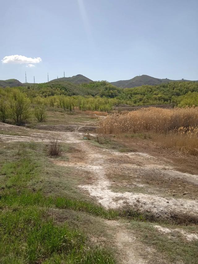 乌市雅山西边的湿地，登山步道14号打卡点，那里人少有大自然野趣