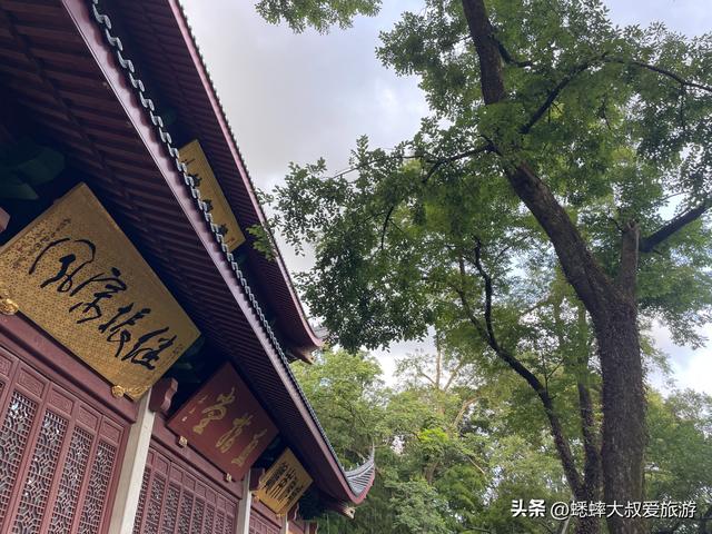杭州人为什么不去灵隐寺？有没有什么注意事项？该怎么轻松游玩？