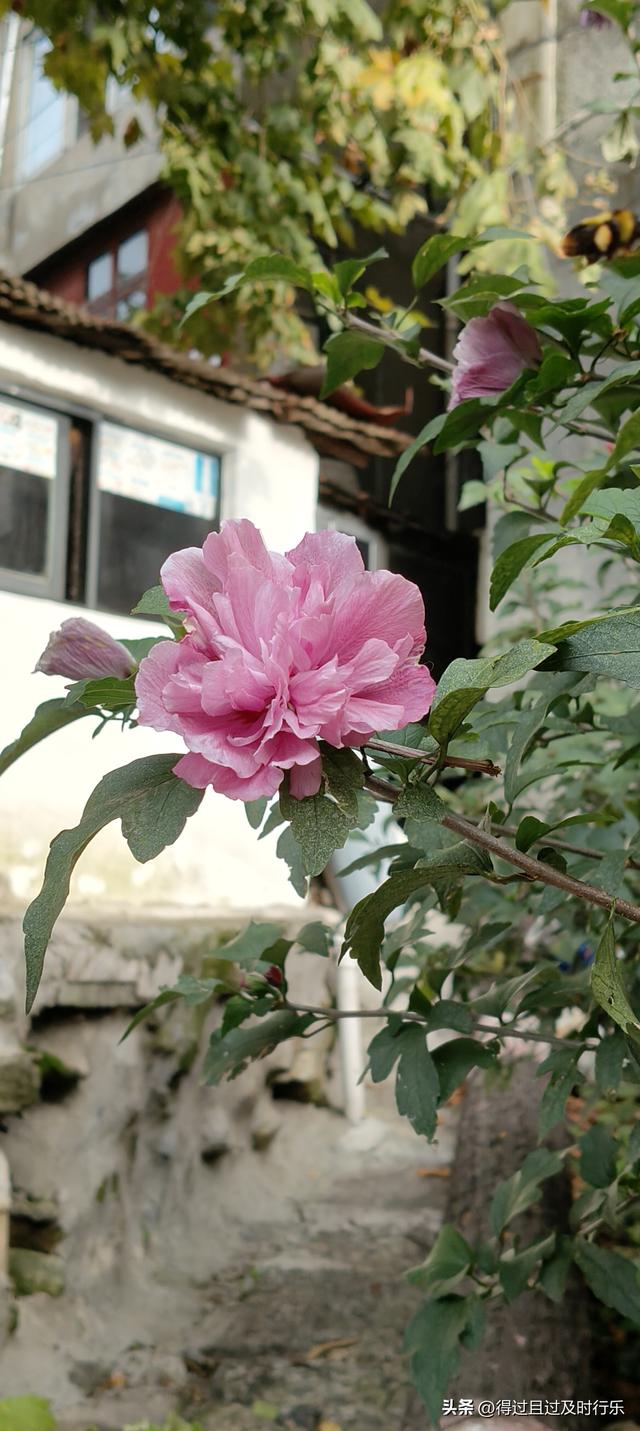 庐山游记-01来庐山，心悠然